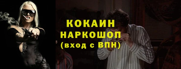 бошки Осинники